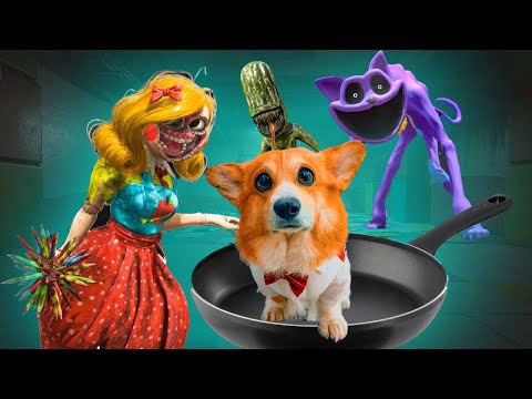 Видео: ВСЕ МОНСТРЫ ПРОТИВ КОРЖИКА!! МЕГАСБОРНИК! Лучшие серии весны! Корги Коржик Говорящая собака