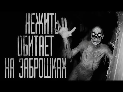 Видео: НЕЖИТЬ ОБИТАЕТ НА ЗАБРОШКАХ... Страшные истории на ночь.Страшилки на ночь.