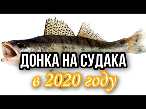 Видео: СНАСТЬ ДОНКА на Судака 2020.