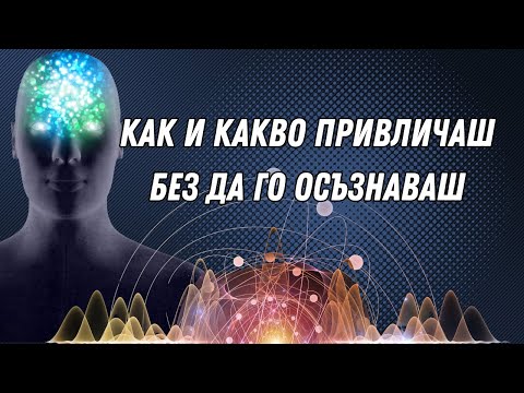 Видео: Вселената ви наблюдава: Какво привличате без да осъзнавате?