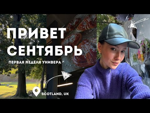 Видео: ВЕРНУЛАСЬ В UK/// 1 неделя УНИВЕРСИТЕТА в Шотландии/поиск квартиры/проблемы жизни заграницей