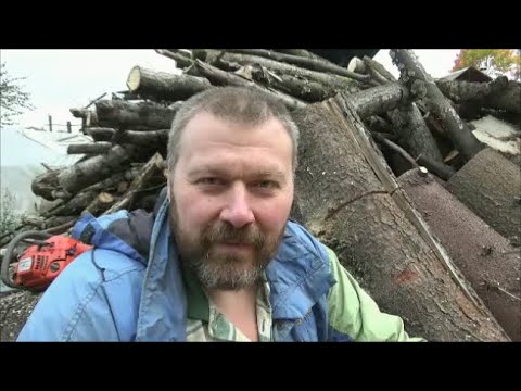 Видео: Самоделкин на связи