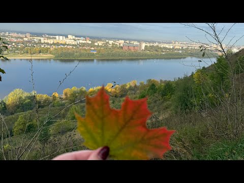 Видео: ОСЕНЬ🍁 И БЕЛКИ🐿️ / Доброе утро, девочки мои🌸
