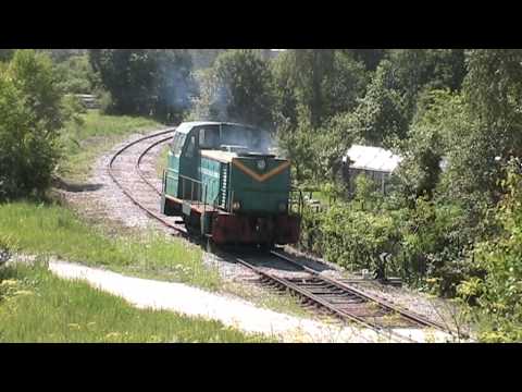 Видео: Дымящийся тепловоз ТГМ23Б-272 / Smoke coming from everywhere: TGM23B-272