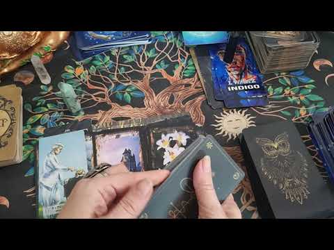 Видео: Как поживают ваши родственники враги? 😱😱😱