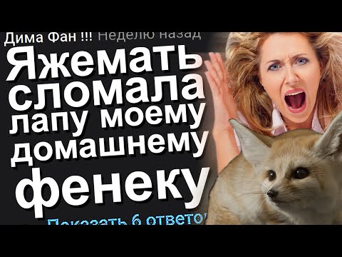 Видео: ЯЖЕМАТЬ СЛОМАЛА ЛАПУ МОЕМУ ДОМАШНЕМУ ФЕНЕКУ. ЯЖЕМАТЬ ИСТОРИИ.