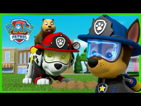 Видео: ПЕС ПАТРУЛ: крайно спасение: мисии за работа в екип! - PAW Patrol Bulgarian - карикатури за деца