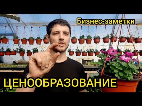 Видео: Как определить цену на товар. Мои мысли и заключения.