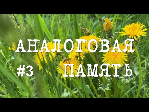 Видео: Аналоговая память #3