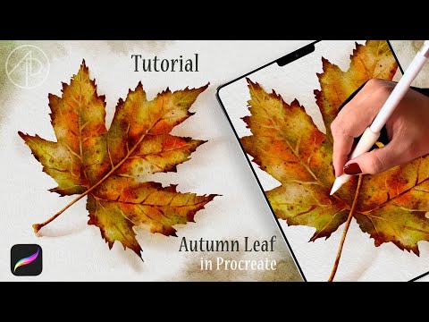 Видео: 🍁 Урок по рисованию осенних листьев / Акварель в Procreate для начинающих