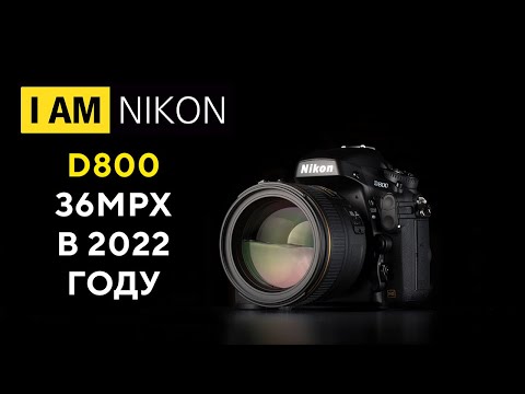 Видео: Nikon D800 36 mpx обзор в 2022 году