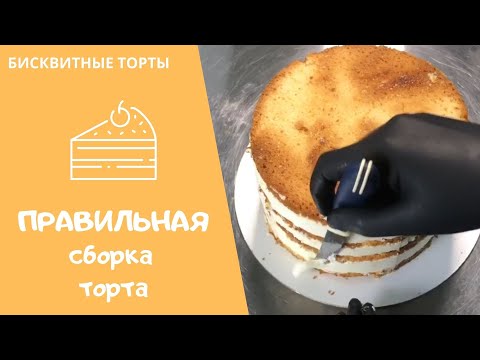 Видео: 📍ПРАВИЛЬНАЯ сборка бисквитного торта ❤ ВСЕ секреты! Простой рецепт творожного мусса #106