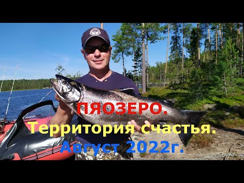 Видео: Пяозеро.Территория счастья. Август 2022г.