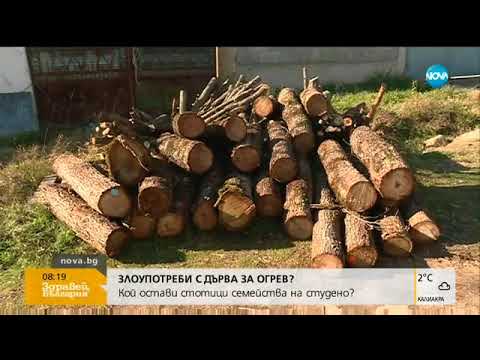 Видео: Кой остави 10 села без дърва за огрев - Здравей, България (05.12.2017г.)