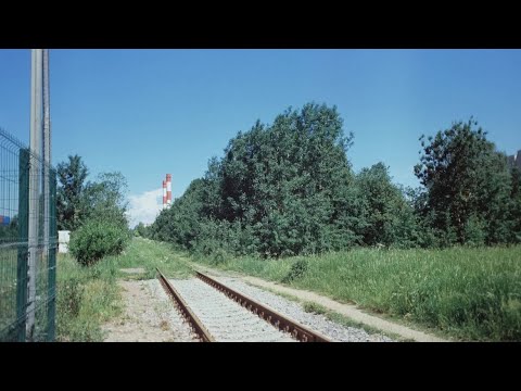 Видео: Прелести жизни  в прямом эфире!