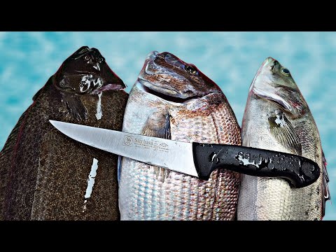 Видео: Сашими из живой рыбы и сашими из кальмаров