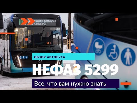 Видео: Обзор НефАЗ 5299