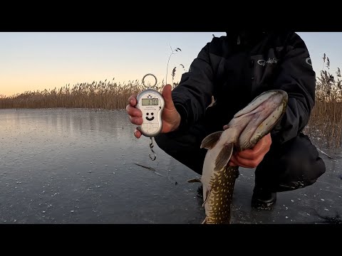 Видео: Рибалка в - 15 не лишила з порожніми рукам