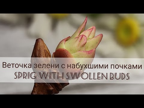 Видео: Весенняя веточка зелени/холодный фарфор/Spring sprig of greenery / cold porcelain