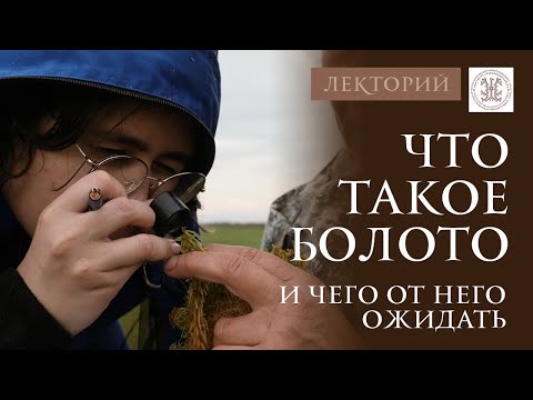 Видео: Что такое болото и как оно формируется. Болота бывают разные?