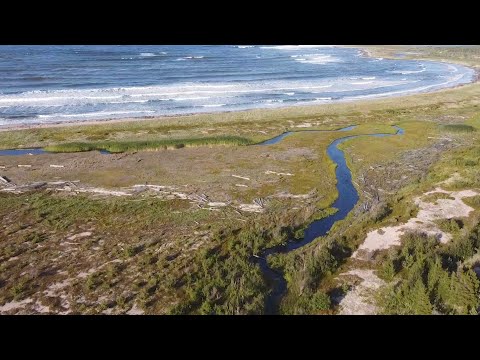 Видео: Летняя Золотица. Проход по Белому морю