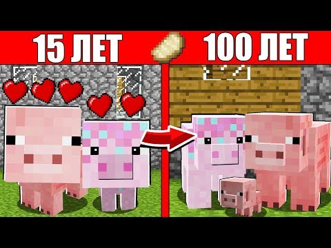 Видео: Как семья Свиньи и Девушки прожила жизнь 1 годик 100 лет Майнкрафт Как менялся Цикл Эволюция Мобов