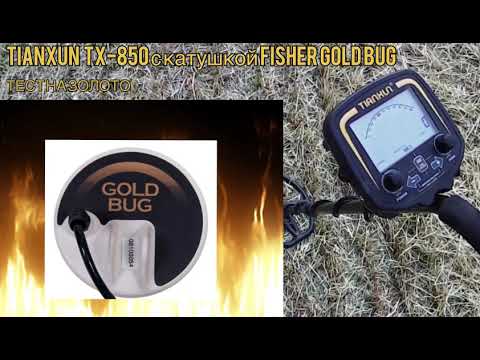 Видео: TIANXUN TX-850 с катушкой Fisher Gold Bug 5”.Тест на золото.