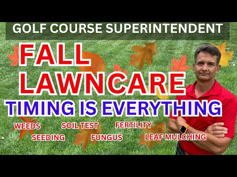 Видео: Ваш полный контрольный список по уходу за газоном осенью