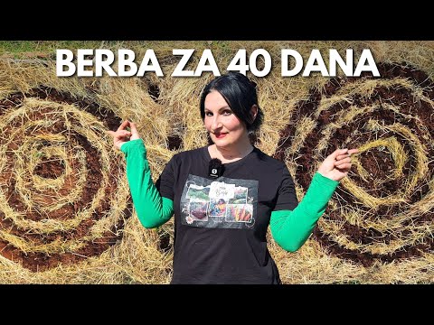 Видео: БЫСТРОЕ ВЫРАЩИВАНИЕ в Круговых Моделях