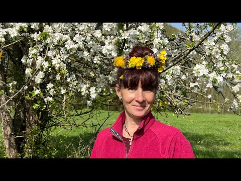 Видео: ПВД 2023 По окрестностям Соленой балки