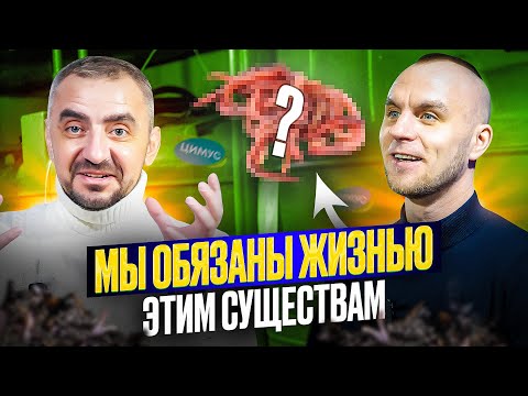 Видео: Черви СПАСУТ нашу планету. Как восстановить плодородие почвы