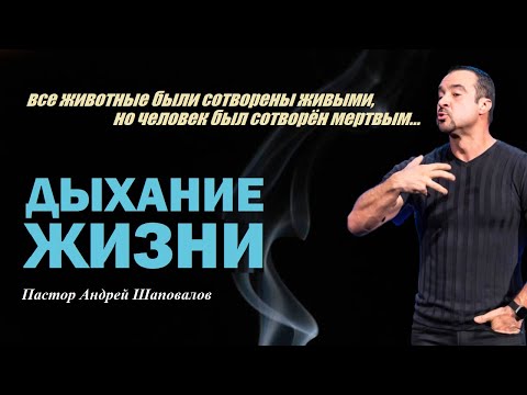 Видео: Все животные были сотворены живыми, но человек был сотворён мертвым.Дыхание жизни.Пастор А.Шаповалов