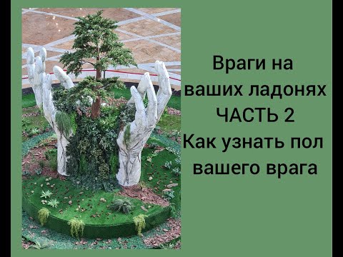 Видео: Враги на ваших ладонях. Часть 2 Как узнать пол вашего врага Хиромантия