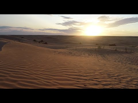 Видео: Песчаный апокалипсис 2022г