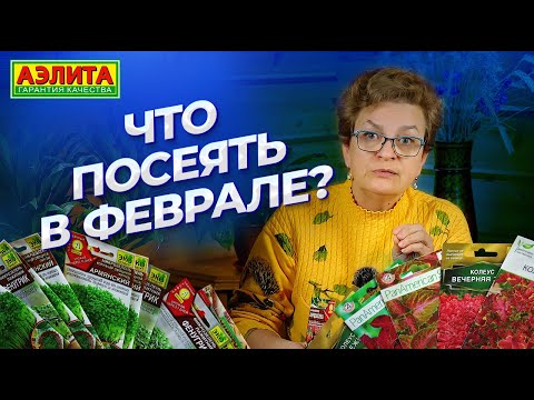 Видео: ЧТО ПОСЕЯТЬ В ФЕВРАЛЕ? Новинки семян 2025 от Агрофирмы Аэлита!