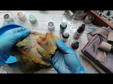 Видео: Окраска марли