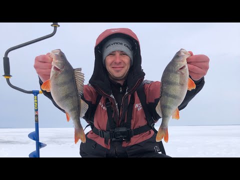 Видео: Нарвался на клёв окуня. Ловля окуня на балансир зимой.