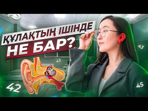 Видео: Құлақтың ішінде не бар? | ҰБТ Биология 2024
