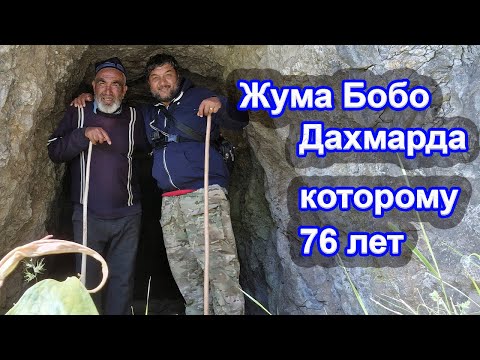 Видео: Самый старый дейставующий дахмарда (пастух) Жума Бобо в горах Таджикистана.
