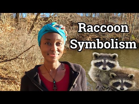 Видео: Тотем духа енота | Ослабьте защиту