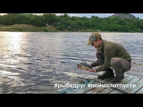 Видео: Ловля карпа на флэт пикер в парке Роща [Кошерная Рыбалка]