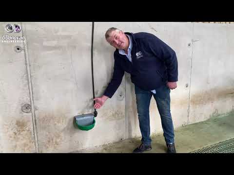 Видео: Прогулка по овчарне с четырьмя отсеками