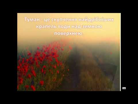 Видео: Заняття з розвитку мовлення «Літні явища в природі» вихователь Ельвіра Сунічук