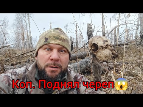 Видео: Коп в болоте. Шурф.