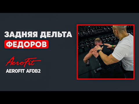 Видео: ФЕДОРОВ: Задние дельты. Изоляция. Aerofit AFDB2