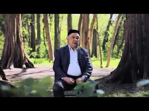 Видео: Qobil qori siylai rahm. Кобил кори сийлаи рахм.