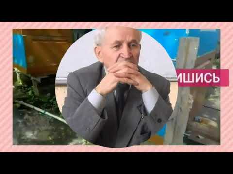 Видео: Кашковский В.Г (Мешотчатый расплод)