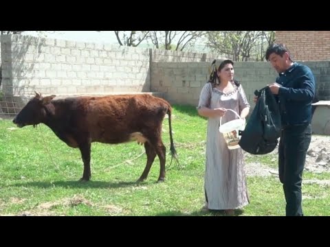 Видео: И шаб хона наë айб меша сахнаи нав 2025