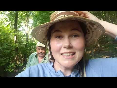 Видео: 🍄ОТИВАМЕ В ГОРАТА ЗА ГЪБИ ПАЧИ КРАК🍄