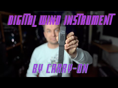 Видео: Мой обзор цифрового духового инструмента от Carry-On